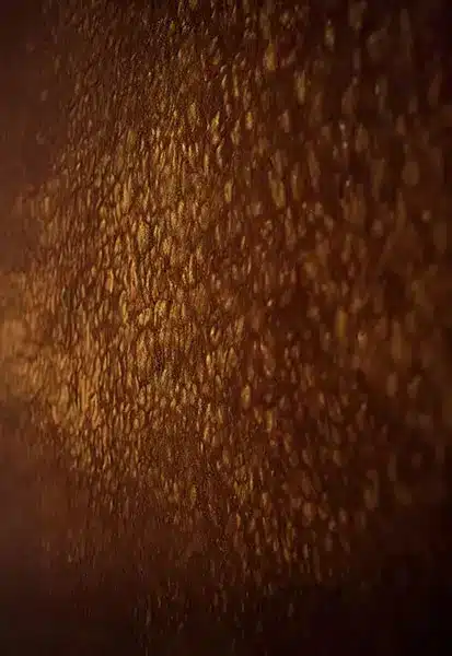 خلفية تصوير احترافية A-1953 من Allmaie Studio