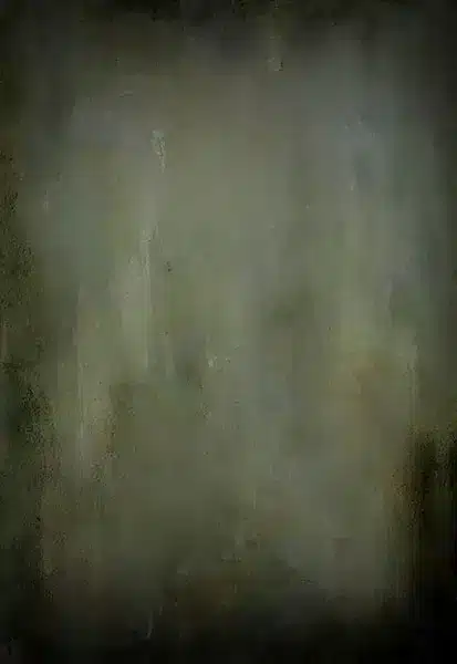 خلفية تصوير احترافية A-1963 من Allmaie Studio