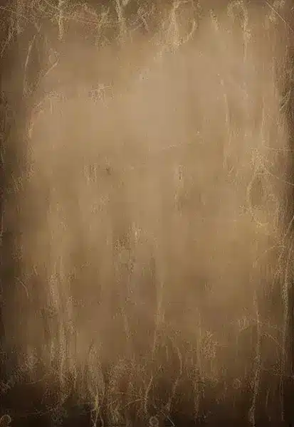 خلفية تصوير احترافية A-2025 من Allmaie Studio