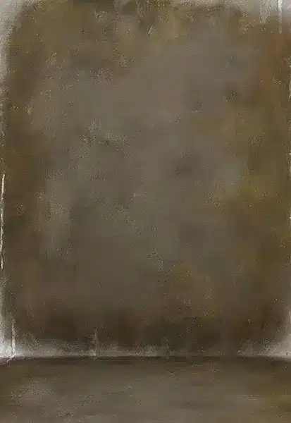 خلفية تصوير احترافية A-2038 من Allmaie Studio