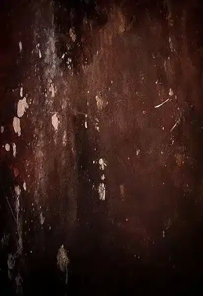 خلفية تصوير احترافية A-2039 من Allmaie Studio