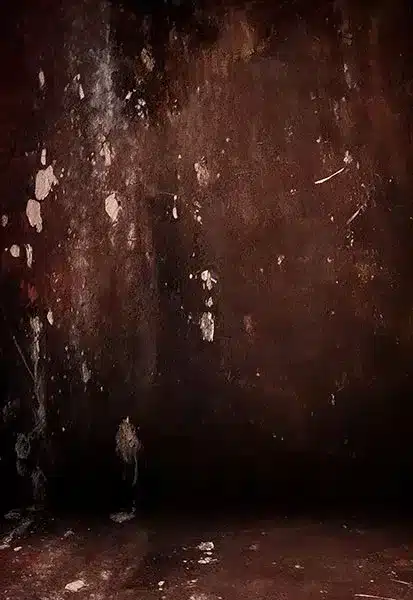 خلفية تصوير احترافية A-2040 من Allmaie Studio