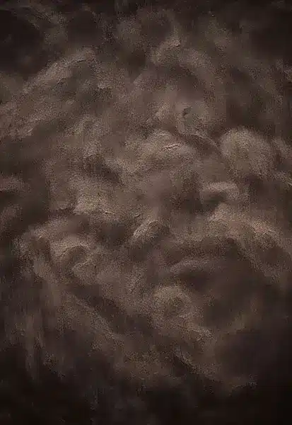 خلفية تصوير احترافية A-2099 من Allmaie Studio