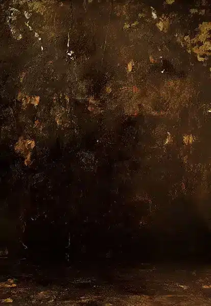 خلفية تصوير احترافية A-2126 من Allmaie Studio