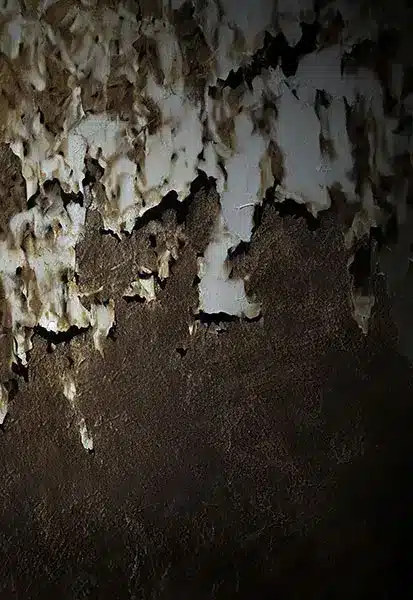 خلفية تصوير احترافية A-2139 من Allmaie Studio