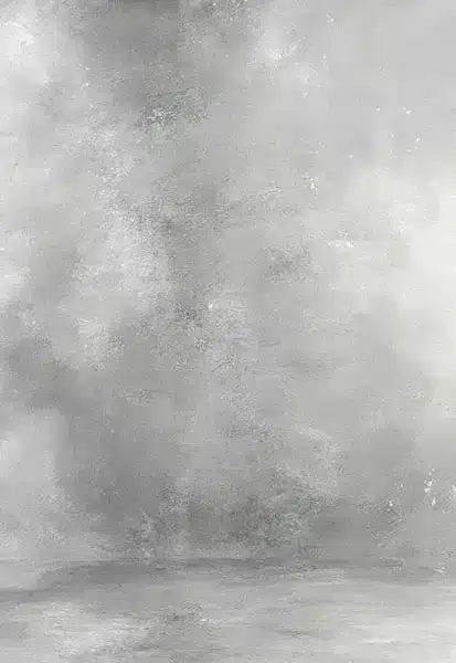 خلفية تصوير احترافية A-2160 من Allmaie Studio