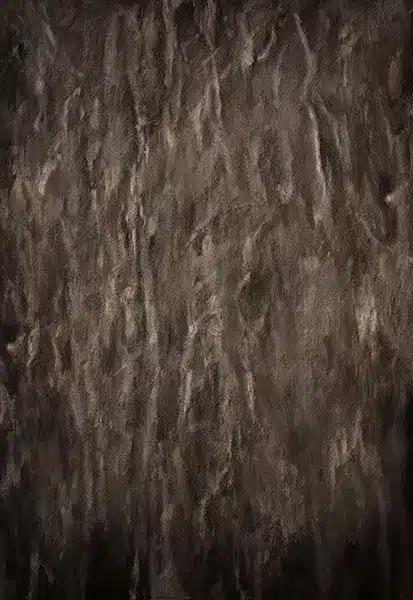 خلفية تصوير احترافية A-2173 من Allmaie Studio