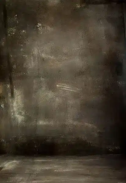 خلفية تصوير احترافية A-2176 من Allmaie Studio