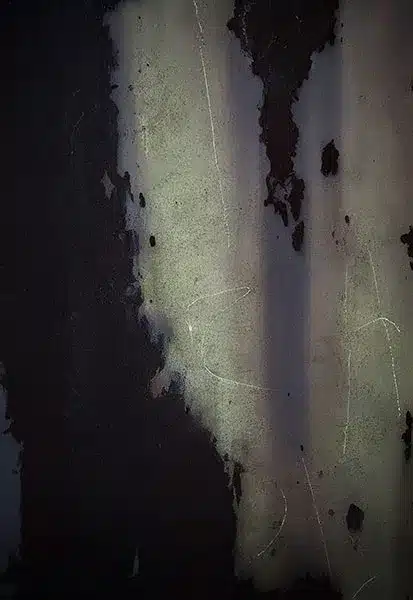 خلفية تصوير احترافية A-2183 من Allmaie Studio