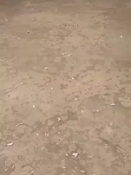 خلفية تصوير احترافية A-385 من Allmaie Studio