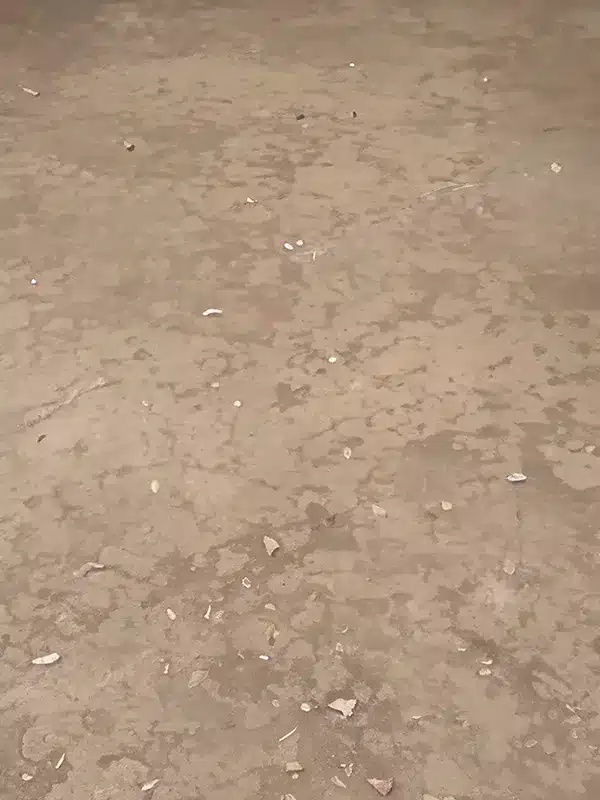 A-385.webp خلفية تصوير احترافية A-385 من Allmaie Studio