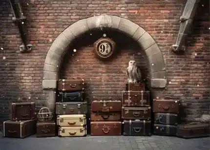 خلفية تصوير احترافية A-615 من Allmaie Studio