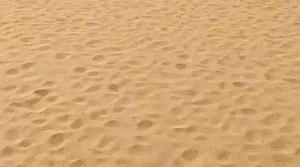 خلفية تصوير احترافية A-743 من Allmaie Studio