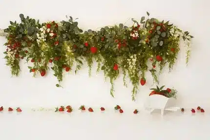 خلفية تصوير احترافية A-813 من Allmaie Studio