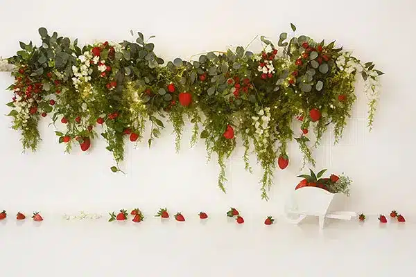 A-813.webp خلفية تصوير احترافية A-813 من Allmaie Studio