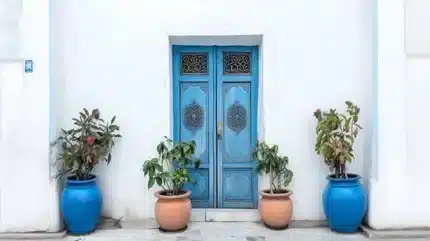 خلفية تصوير احترافية A-842 من Allmaie Studio