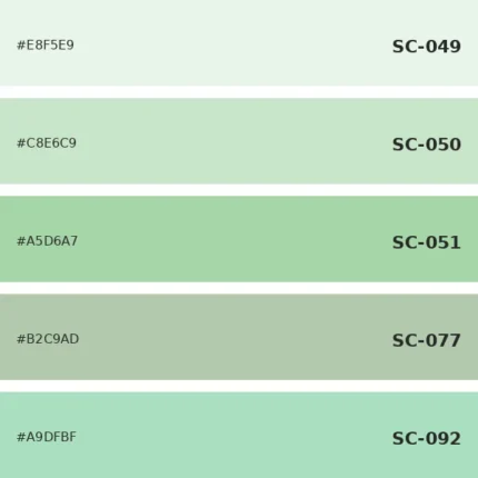 باقة الأخضر الفاتح والنعناعي — خلفيات سادة SC-049 SC-050 SC-051 SC-077 SC-092