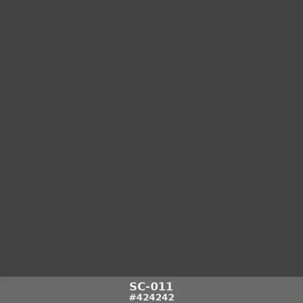 SC-011-1.webp خلفية ساده رمادي فحمي sc-011 - Charcoal Gray Solid Color Backdrop
