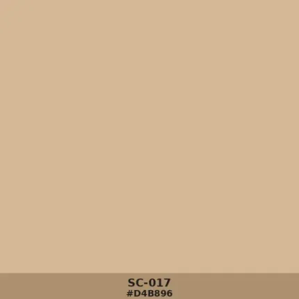 خلفية ساده رملي sc-017 - Sand Solid Color Backdrop