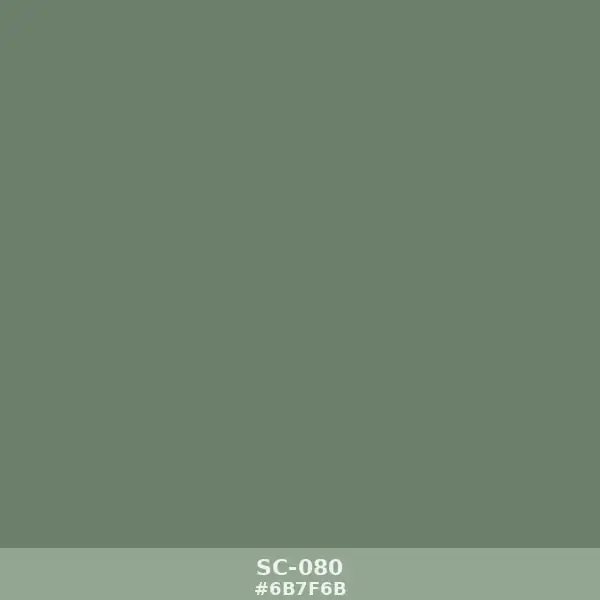 SC-080-1.webp خلفية ساده أخضر مريمي غامق sc-080 - Dark Sage Solid Color Backdrop