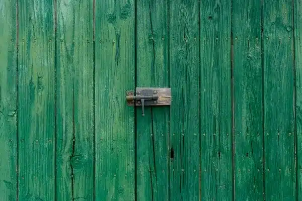 A- (3896) باب أخضر بسيط, خلفيات تصوير, خلفيات فينتج, Simple Green Door