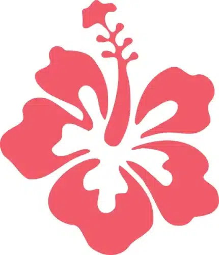 Moana FIG-003 – موانا